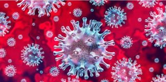 తెలంగాణలో శనివారం 1,850 కరోనా పాజిటివ్ కేసులు