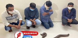 రెండు తలల పామును అమ్ముతుండగా ముఠా అరెస్ట్