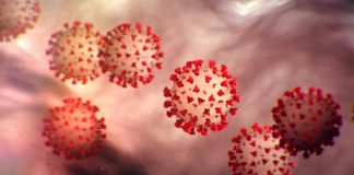 స్టూడెంట్స్, టీచర్స్ కి కరోనా..స్కూల్ కు సీల్