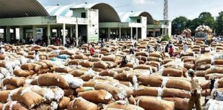 వరంగల్ లో క్వింటాల్ పత్తి ధర ఎంతంటే ?