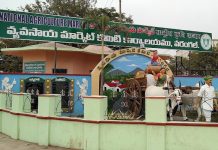 రికార్డు స్థాయిలో ధర పలికిన మిర్చి, పత్తి