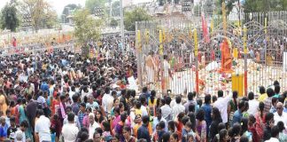 నేటి నుంచి మేడారం చిన్న జాతర