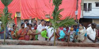 స్మార్ట్ సిటీలో భాగంగా మొక్కలు నాటిన కార్పొరేటర్ వేముల