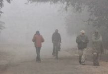 గజ గజ వణికిస్తున్న చలి