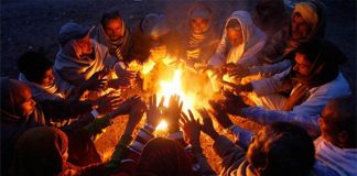 తెలంగాణను వణికిస్తున్న చలిపులి