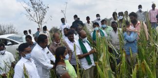 పంట నష్టం జరిగిన ప్రతీ రైతును ఆదుకుంటాం: ఎమ్మెల్యే చల్లా