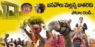 ఐనవోలు మల్లన్న జాతరకు పోదాం రండి