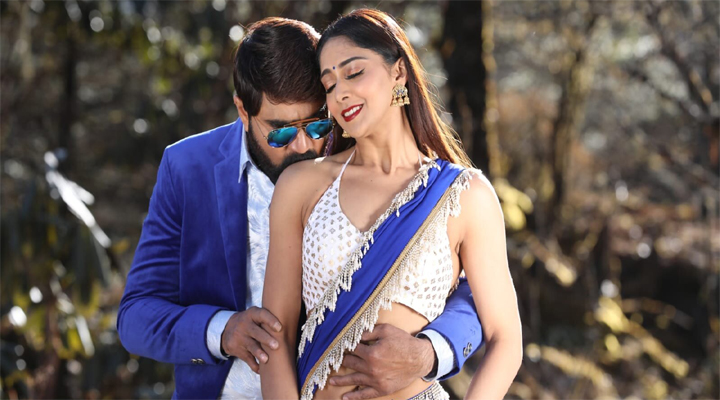 ఫిబ్రవరి 4న 'కోతల రాయుడు'