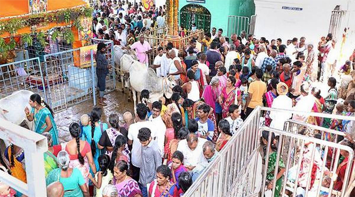 రాజన్న సన్నిధిలో ముక్కోటి ఏకాదశి వేడుకలు