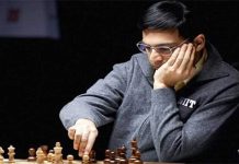 ఆసియా క్రీడలకు మెంటార్ గా ఆనంద్ విశ్వనాథన్