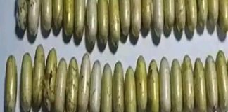 ఎయిర్ పోర్టులో భారీగా హెరాయిన్ పట్టివేత