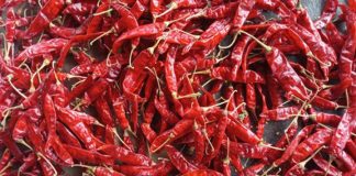 ఘాటు పుట్టిస్తున్న మిర్చి ధర