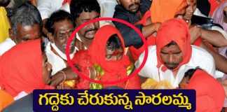 గద్దెలకు చేరిన సారలమ్మ, పగిడిద్దరాజు, గోవిందరాజులు
