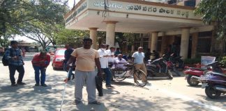 జీడబ్ల్యూఎంసీలో పాము కలకలం..