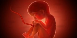 మరణించిన భర్త వీర్యంతో మాతృత్వం