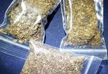 అంబర్ పేటలో 370 కిలోల గంజాయి పట్టివేత