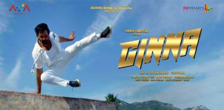 Plot of the movie Ginna (Story)
