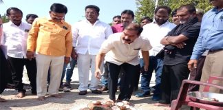 నూతన సిసి రోడ్డు పనులను ప్రారంభించిన చీఫ్ విప్