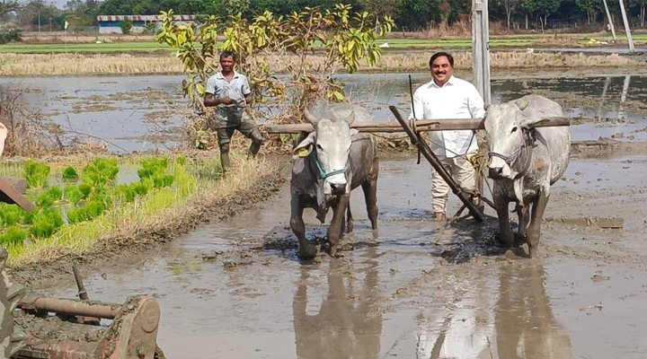 నాగలి దున్ని, నాటేసిన మంత్రి ఎర్రబెల్లి