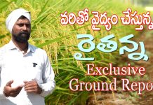 వరితో వైద్యం చేస్తున్న రైతన్న