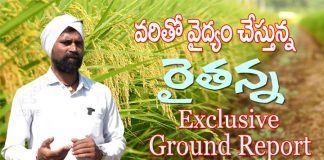 వరితో వైద్యం చేస్తున్న రైతన్న