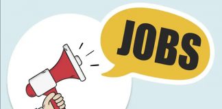 టీఎస్ఎస్పీడీసీఎల్ లో ఉద్యోగాల భర్తీకి ప్రకటన