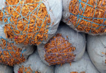 ఎనుమాముల మార్కెట్ లో ఎల్లో కలర్ మిర్చి