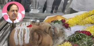 కె.విశ్వనాథ్ మృతి పట్ల సీఎం కేసీఆర్ సంతాపం