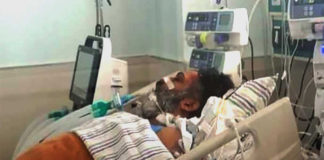 తారక్ డెడ్ బాడీ తరలింపుపై ఫ్యాన్స్ అసంతృప్తి