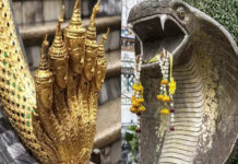 ఈ టెంపుల్స్ దర్శిస్తే నాగదోషం నుంచి విముక్తి !