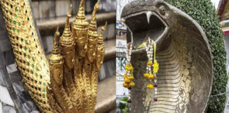 ఈ టెంపుల్స్ దర్శిస్తే నాగదోషం నుంచి విముక్తి !