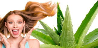 కలబందతో హెయిర్ ఫాల్కు చెక్..!!