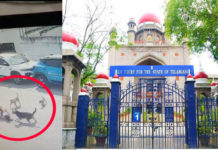 సుమోటోగా వీధి కుక్కల దాడి కేసు