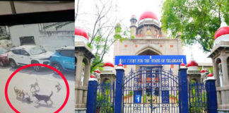 సుమోటోగా వీధి కుక్కల దాడి కేసు