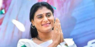 పాలేరులో షర్మిల పాగా ?