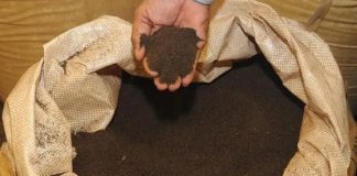 కల్తీ టీ పౌడర్ రాకెట్.. గుట్టు రట్టు