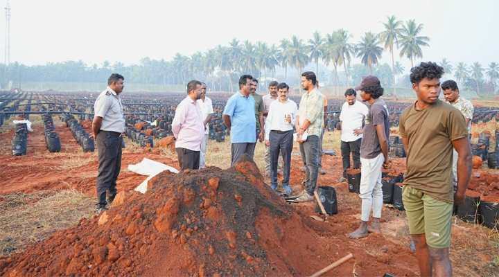 ఆయిల్ పామ్ నర్సరీలను సందర్శించిన జంగా