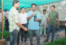 ఆయిల్ పామ్ నర్సరీలను సందర్శించిన జంగా