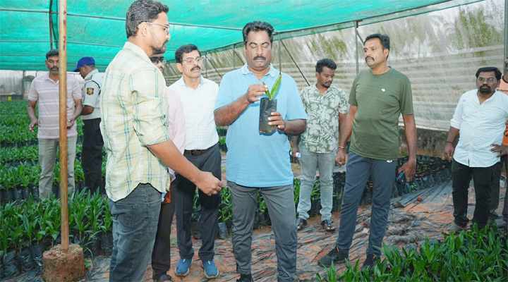 ఆయిల్ పామ్ నర్సరీలను సందర్శించిన జంగా