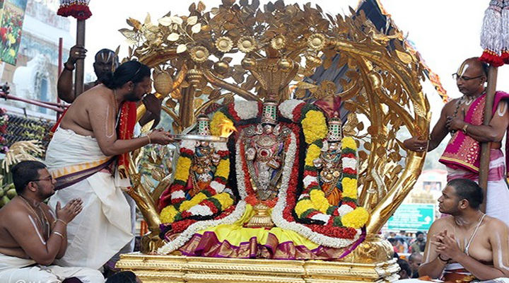 కల్పవృక్ష వాహనంపై శ్రీనివాసుని అనుగ్రహం