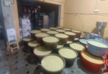 కల్తీ అల్లం, వెల్లుల్లి పేస్టు తయారీ.. ఒకరి అరెస్ట్